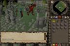Runescape Screenshot