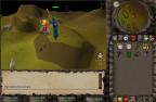 Runescape Screenshot