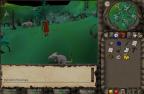 Runescape Screenshot