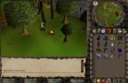 Runescape Screenshot